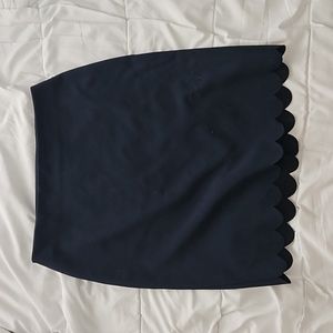 Banana Republic Pencil Skirt BRAND NEW